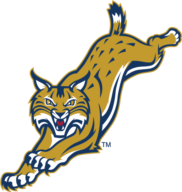 Quinnipiac Bobcats 2002-Pres Alternate Logo v6 diy DTF decal sticker